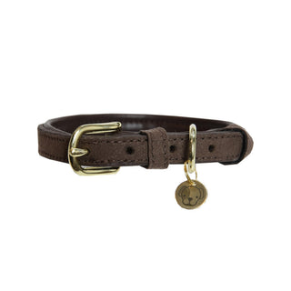 Kentucky Dog Collar Velvet