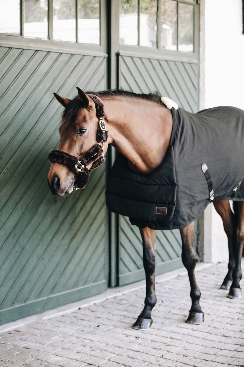 Kentucky Horsewear Horse Bib summer - equi-exclusive