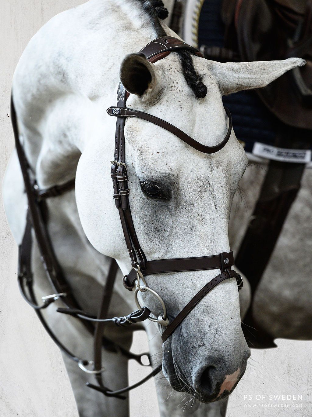 PS of Sweden Bridle flash noseband London Brown