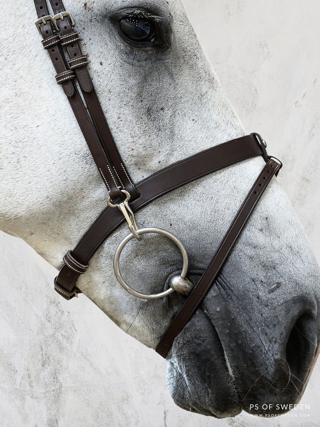 PS of Sweden Bridle flash noseband London Brown