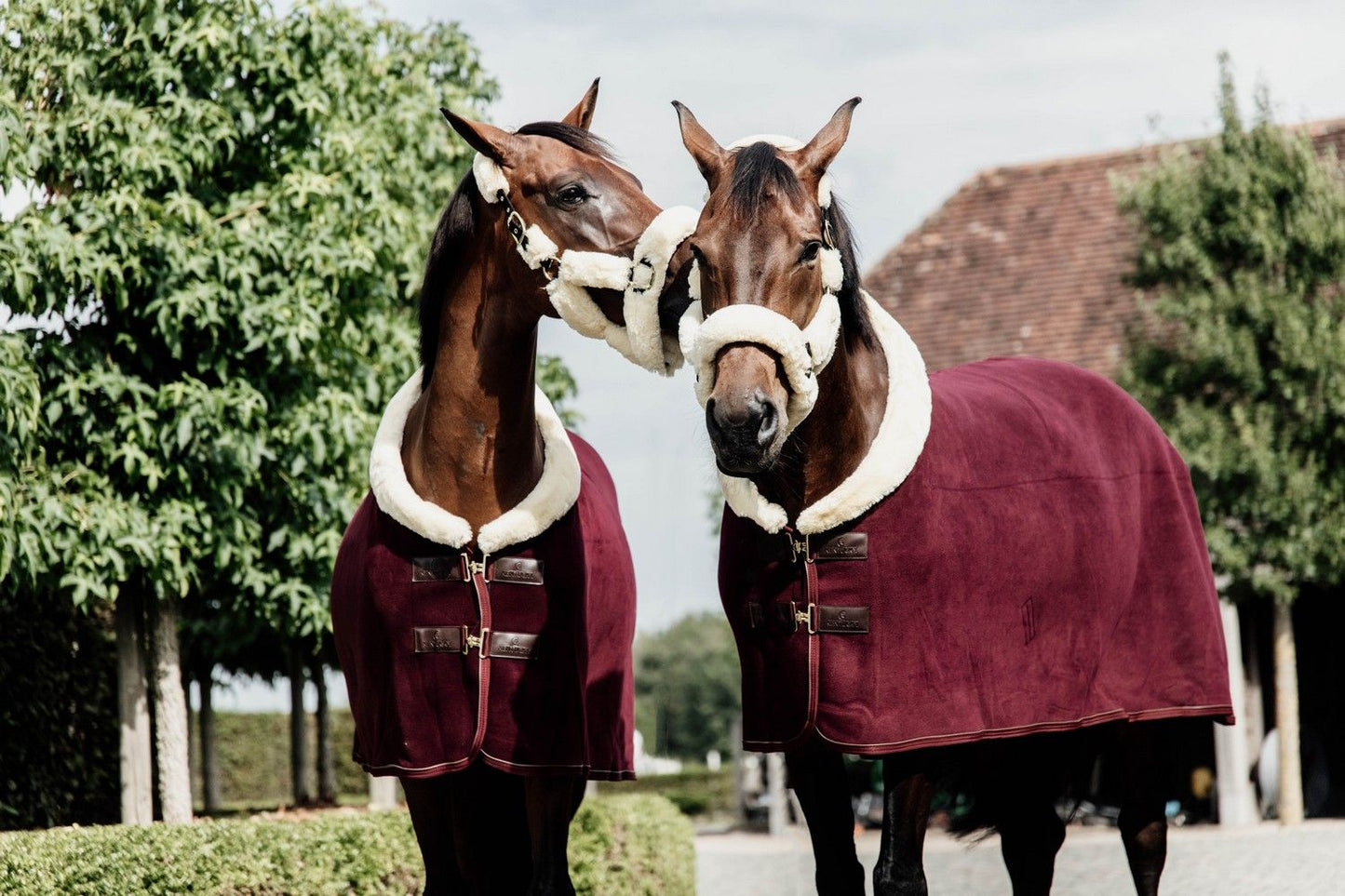 Kentucky Horsewear Fleece Rug Show Heavy Bordeaux