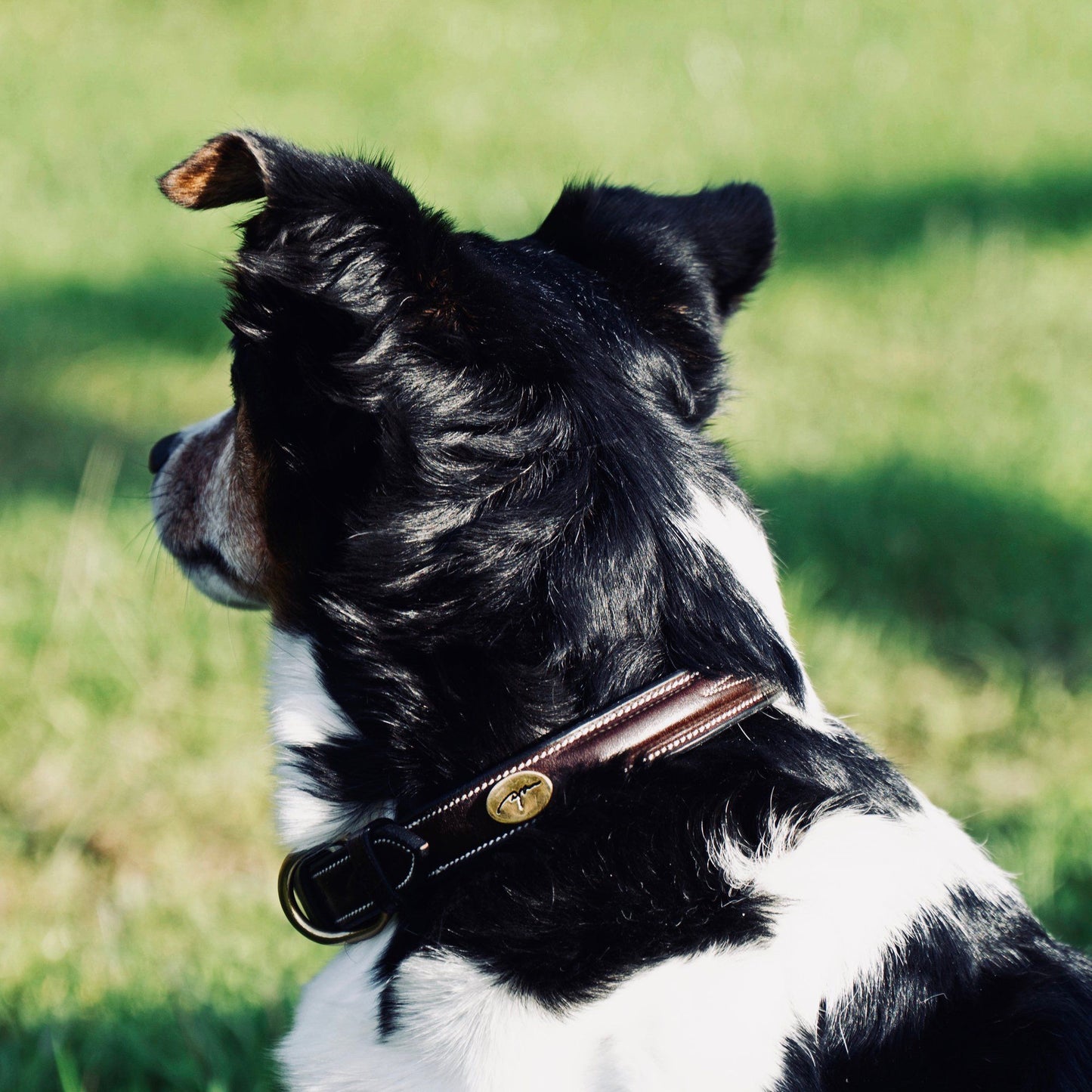 Dyon leather dog collar fancy stitching Brown