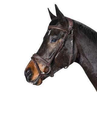 Equiline Bridle Anatomic small Flash noseband