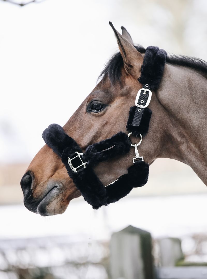 Kentucky Horsewear transporthalster wol - equi-exclusive