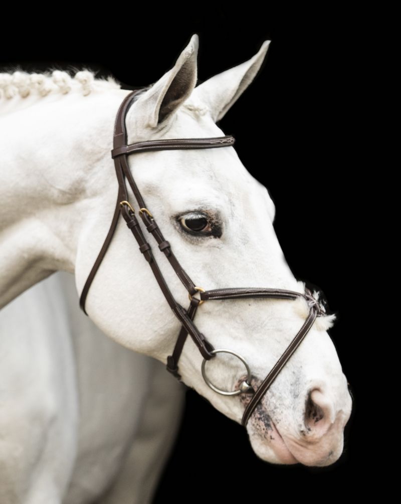 LJ Leathers New Pro bridle figure 8 noseband