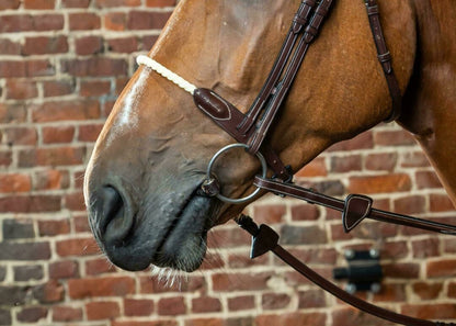Dyon D Collection rope noseband Brown