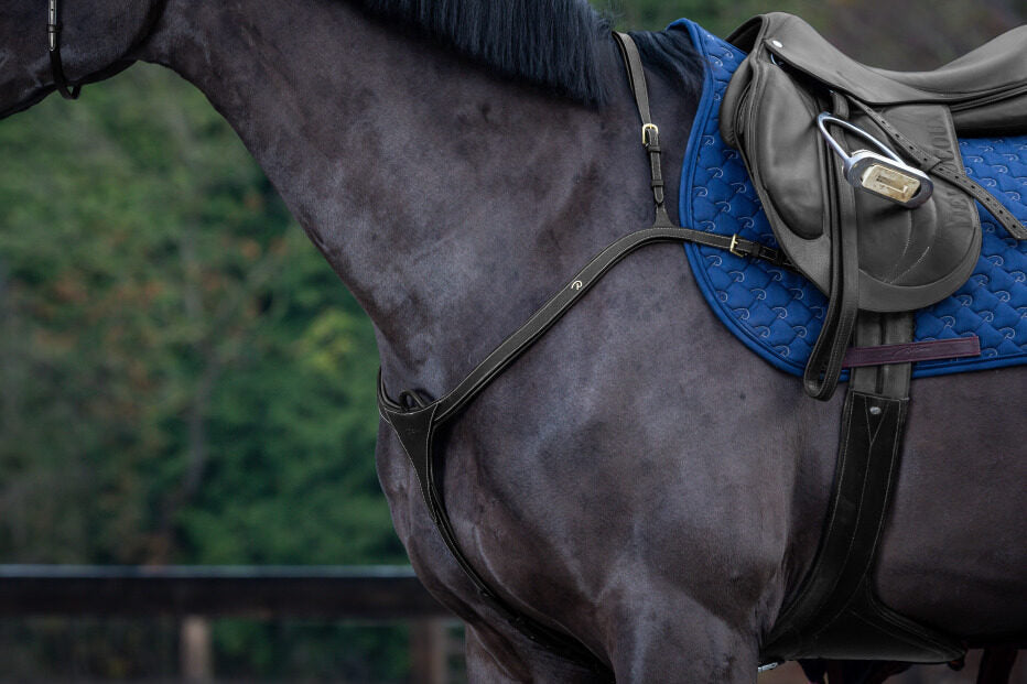 Dyon D Collection Breastplate with long bridge Black – Horse Riders ...