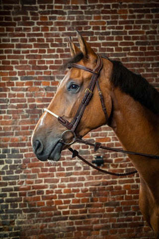 Dyon D Collection rope noseband bridle Brown