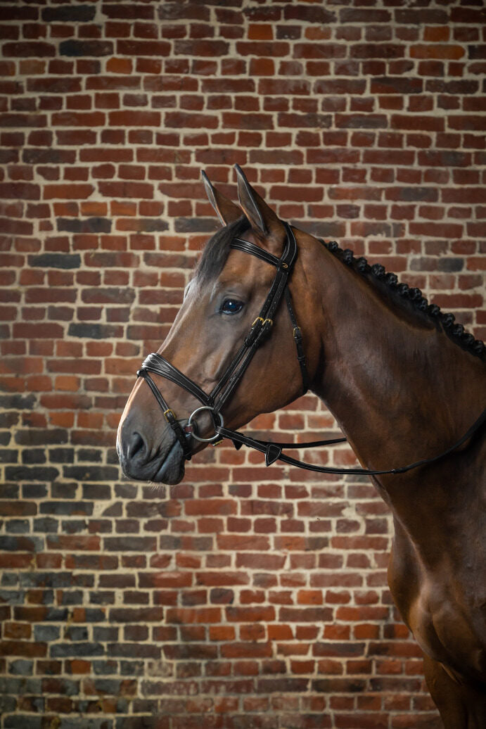 Dyon D Collection anatomic flash noseband bridle Black