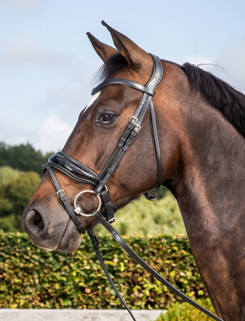 Dyon Dressage Patent Large Crank Noseband Bridle Flash Black