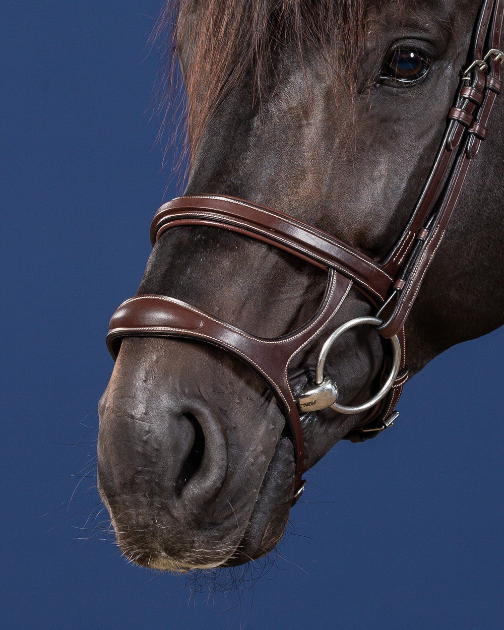 Dyon US Jumping Double Noseband Bridle Brown