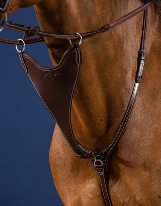 Dyon US Collection Hard BIB Martingale Attachment Brown