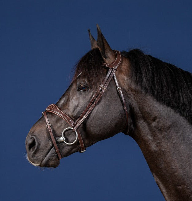 Dyon US Jumping Anatomic Flash Noseband Bridle Brown