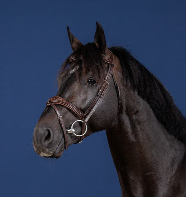 Dyon US Jumping Anatomic Flash Noseband Bridle Brown