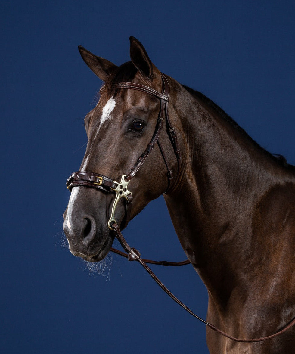 Dyon US Jumping Hackamore bridle Brown