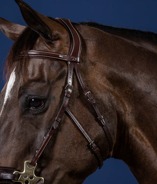 Dyon US Jumping Hackamore bridle Brown