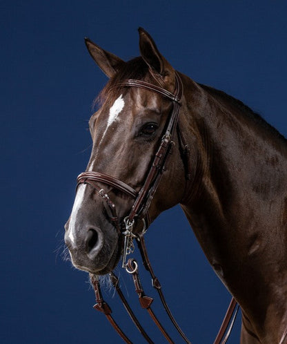 Dyon US Jumping Flash Noseband Double Bridle Brown