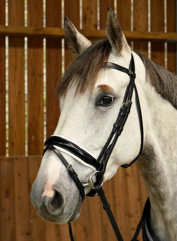 Dyon Working Collection Large Crank Noseband Bridle Patent white Black