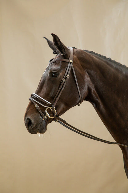 Dyon Working Collection Large Crank Noseband Bridle Patent white Brown